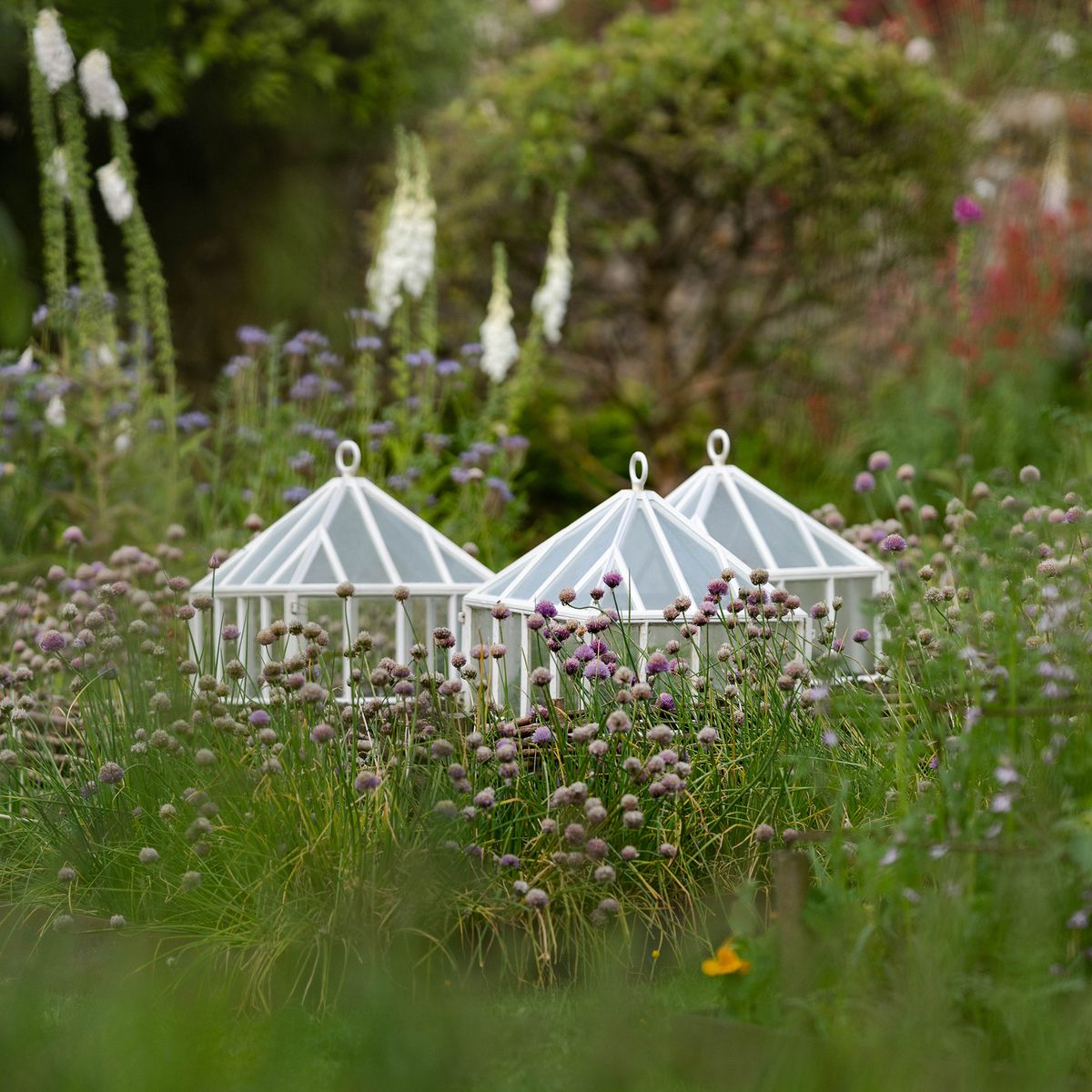 Claverton Cloches Kvadratisk vekstklokke