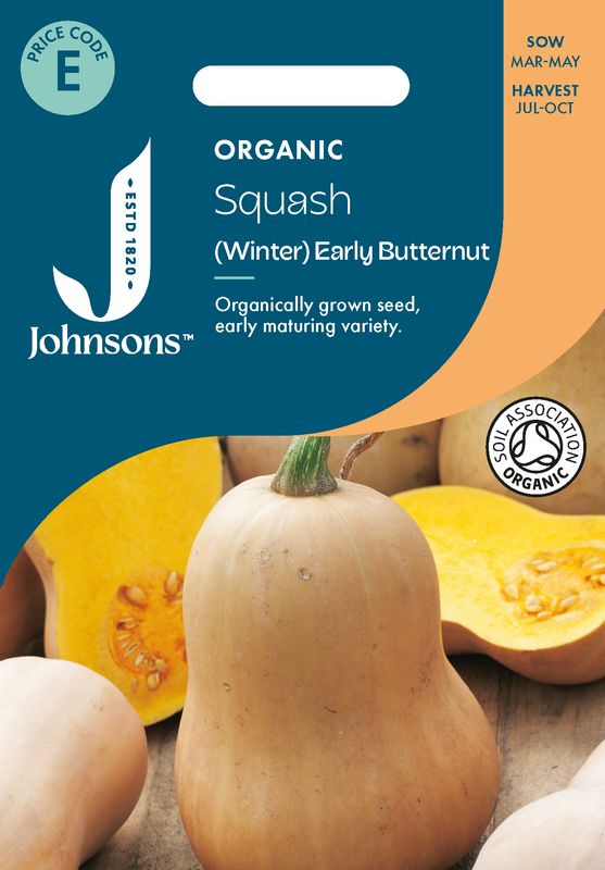 Flaskegresskar 'Early Butternut' - Cucurbita , Organic