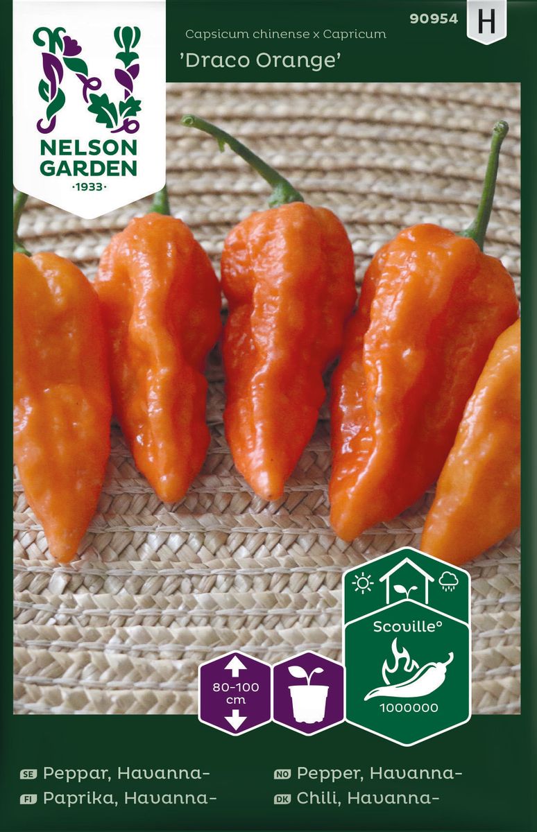 Chilipepper 'Draco Orange' - Capsicum chinense x capricum